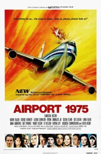 Постер фильма: Аэропорт 1975