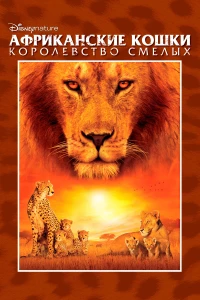 Постер фильма: Африканские кошки: Королевство смелых