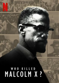 Постер фильма: Who Killed Malcolm X?