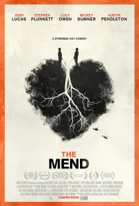 Постер фильма: The Mend