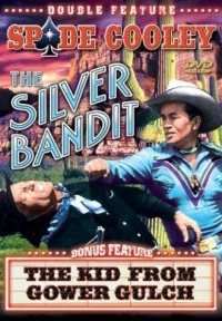 Постер фильма: The Silver Bandit