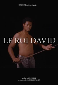Постер фильма: Le Roi David