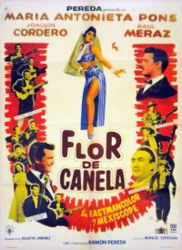 Постер фильма: Flor de canela