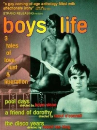 Постер фильма: Жизнь парней