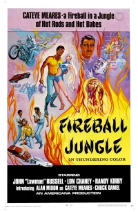 Постер фильма: Fireball Jungle