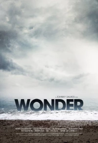 Постер фильма: Wonder