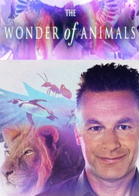 Постер фильма: Чудеса животного мира