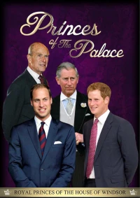 Постер фильма: Принцы дворца