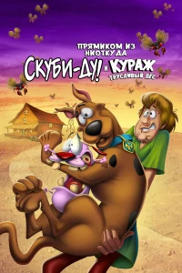 Постер фильма: Прямиком из ниоткуда: Скуби-Ду и Кураж — трусливый пёс