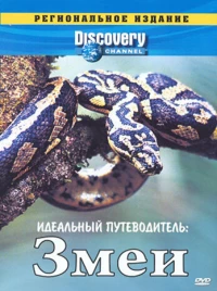 Постер фильма: Discovery: Идеальный путеводитель. Змеи