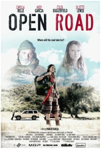 Постер фильма: Открытая дорога