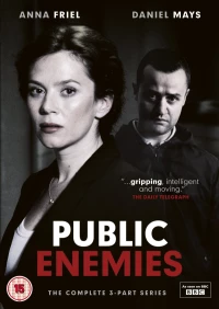 Постер фильма: Public Enemies