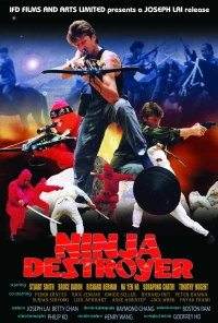 Постер фильма: Ninja Destroyer