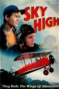 Постер фильма: Небо высоко