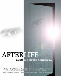 Постер фильма: AfterLife