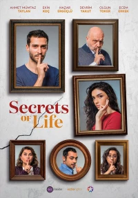 Постер фильма: Секреты жизни