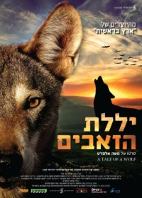 Постер фильма: Рассказ о волке