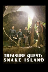 Постер фильма: Treasure Quest: Snake Island