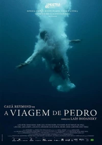 Постер фильма: A Viagem de Pedro