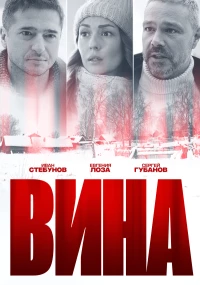 Постер фильма: Вина