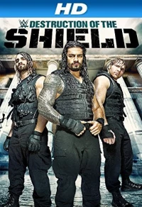 Постер фильма: Journey to SummerSlam: The Destruction of the Shield