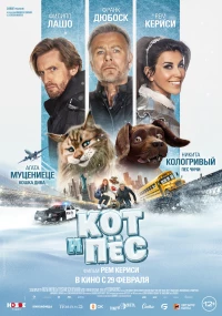 Постер фильма: Кот и пёс