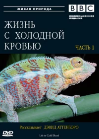 Постер фильма: Жизнь с холодной кровью