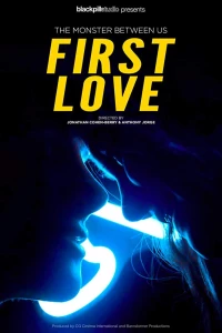 Постер фильма: First Love