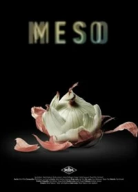 Постер фильма: Meso