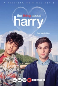Постер фильма: Кое-что о Гарри