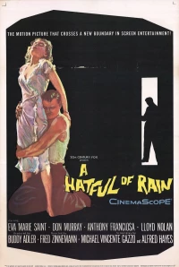 Постер фильма: Шляпа, полная дождя