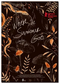 Постер фильма: Куда уходит лето: Эпизоды молодости
