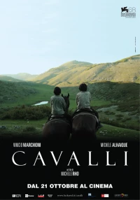 Постер фильма: Лошади