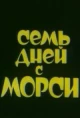 Семь дней с Морси