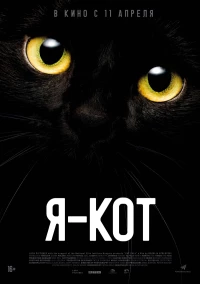 Постер фильма: Я — кот