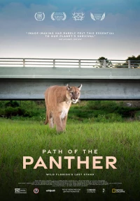 Постер фильма: Путь пантеры