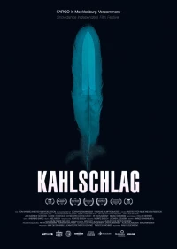 Постер фильма: Kahlschlag