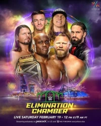 Постер фильма: WWE Камера ликвидации