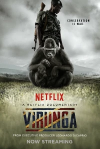 Постер фильма: Вирунга