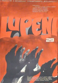 Постер фильма: Лупень, 29