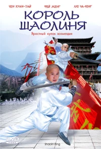 Постер фильма: Король Шаолиня