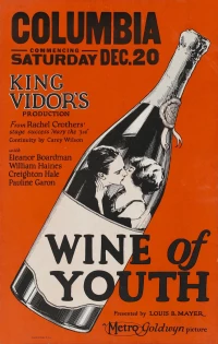 Постер фильма: Вино юности