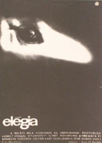 Постер фильма: Элегия
