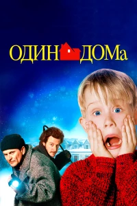 Постер фильма: Один дома