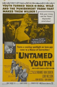 Постер фильма: Неукротимая молодежь