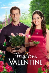 Постер фильма: Таинственный день Святого Валентина