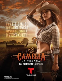 Постер фильма: Camelia la Texana