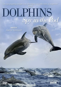 Постер фильма: Дельфины скрытой камерой