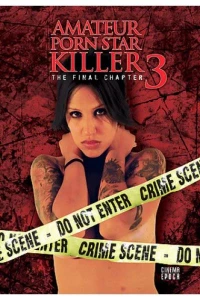 Постер фильма: Убийца порнозвезды-любительницы 3: Последняя глава