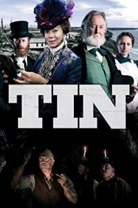 Постер фильма: Tin